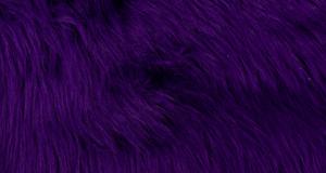 Purple Luxury Shag