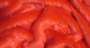 Red Short Shag