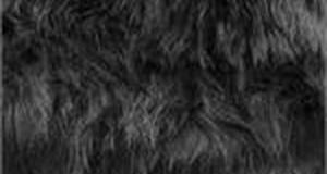 Black Monkey