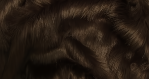 Brown Shaggy