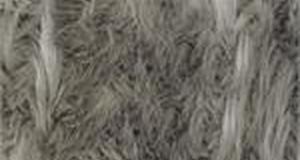 Oyster Gray Shaggy