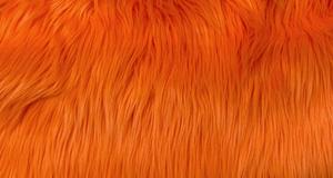 Orange Luxury Shag