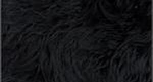 Black Mongolian