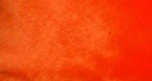 Orange Seal
