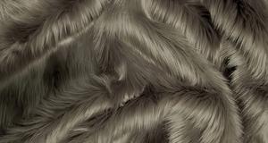 Pewter Shaggy