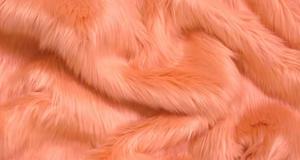 Papaya Shaggy