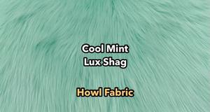 Cool Mint Luxury Shag