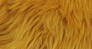 Amber Luxury Shag