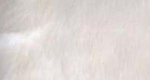 White Soft Teddy Bear