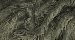 Gray Mongolian