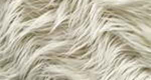 Ivory Mongolian Sheep