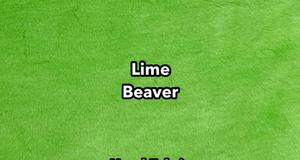 Lime Beaver (Super Seal)