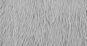Dreamy Alloy