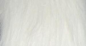 White Fox