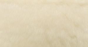 Luxury Bear Ivory