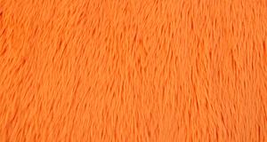 Dreamy Orange