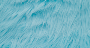 Candy Blue Luxury Shag