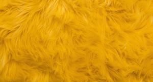 Punky Muppet Yellow