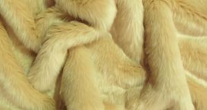 Blonde Short Shag