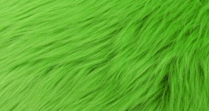 Kiwi Luxury Shag