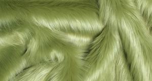 Olive Shaggy