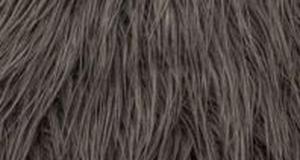 Charcoal Mongolian