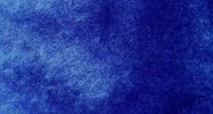 Royal Blue Seal