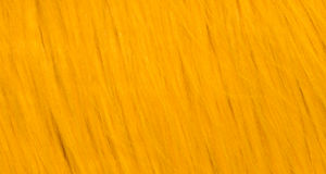 Golden Yellow Monster