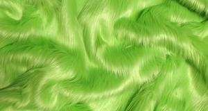Lime Green Shaggy