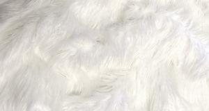 White Mongolian
