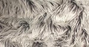 Grey Frost Mongolian