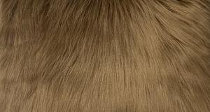 Bronze Luxury Shag