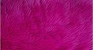 Fuchsia Shaggy