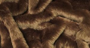 Light Brown Short Shag