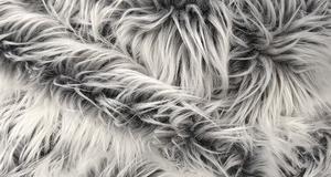 Grey Frost Shaggy