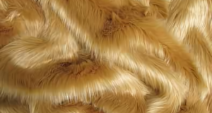Camel Shaggy