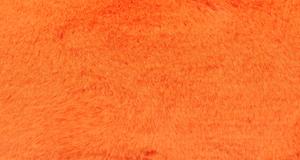 Orange Beaver/Seal