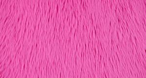 Dreamy Fuchsia