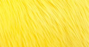 Sunshine Yellow Luxury Shag