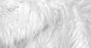 White Curly Mongolian