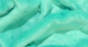 Aqua Short Shag
