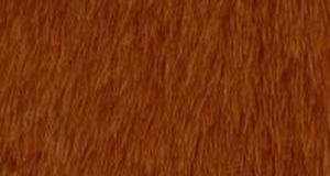 Red Fox Cubby Bear