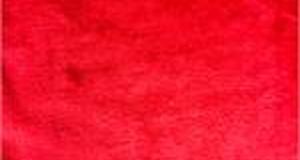 Red Weasel