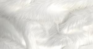 White Shaggy