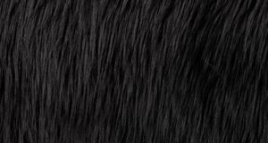 Black Luxury Shag