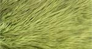 Olive Shaggy