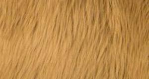 Caramel Luxury Shag
