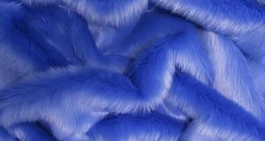 Royal Blue Short Shag