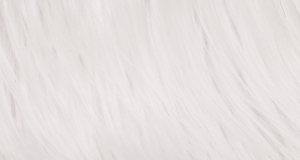 White Monster