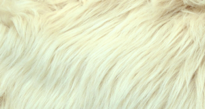 Camel Luxury Shag
